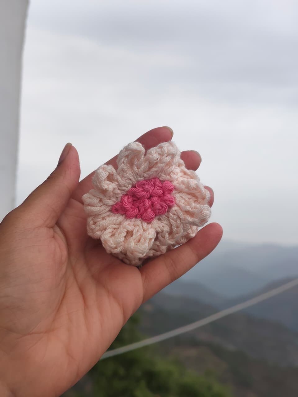 Pink daisy crochet claw clip