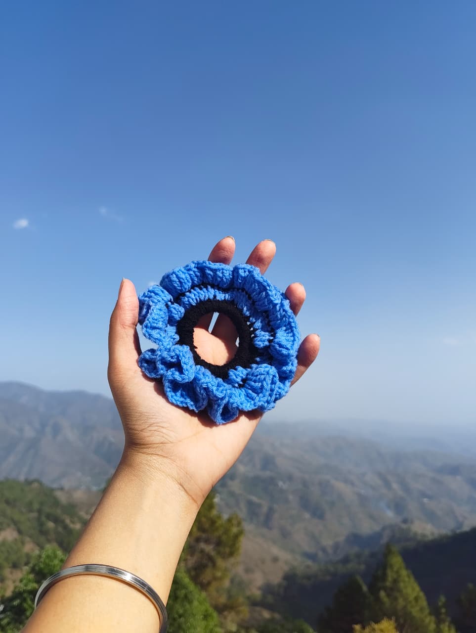 BlueBerry Crochet Scrunchies